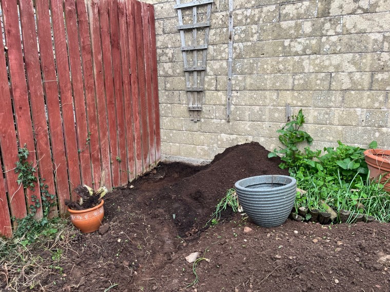 Corner of the garden where the compost bin will be